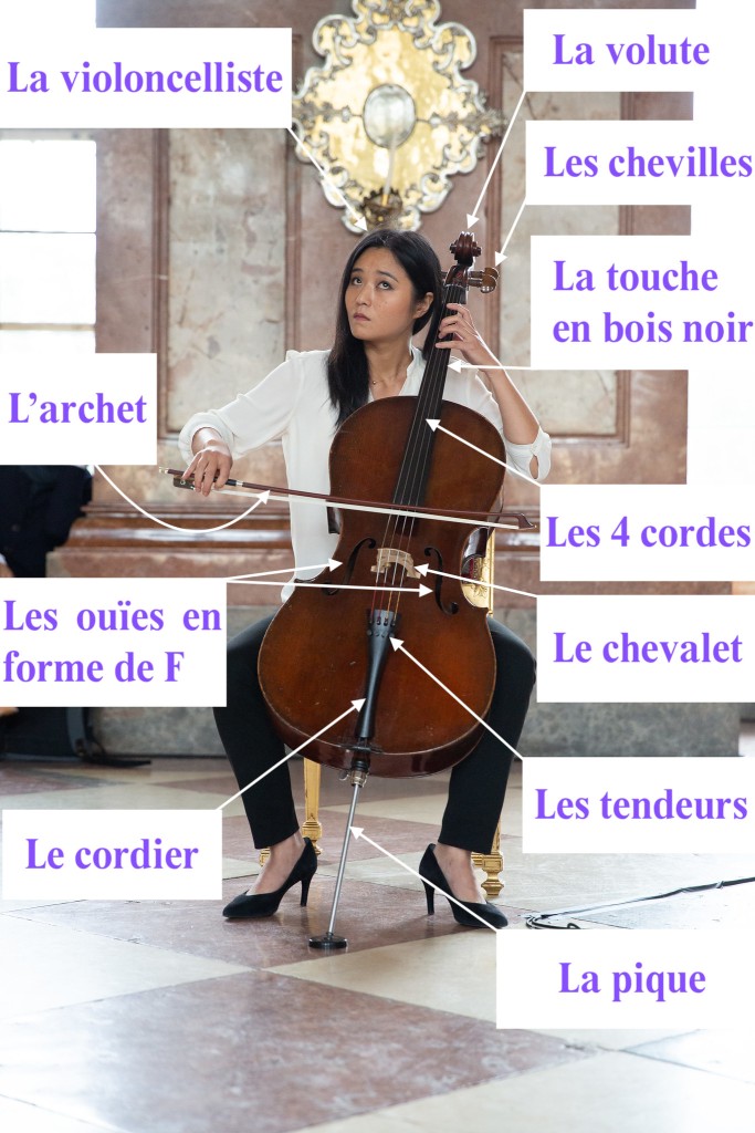 Le violoncelle – La FM de l'Odéon